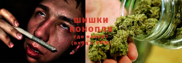 прущие грибы Елизово